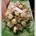 Flores pie de caja defunción con orquídeas - Imagen 1