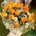 RAMO ROSAS AMARILLAS - Imagen 2